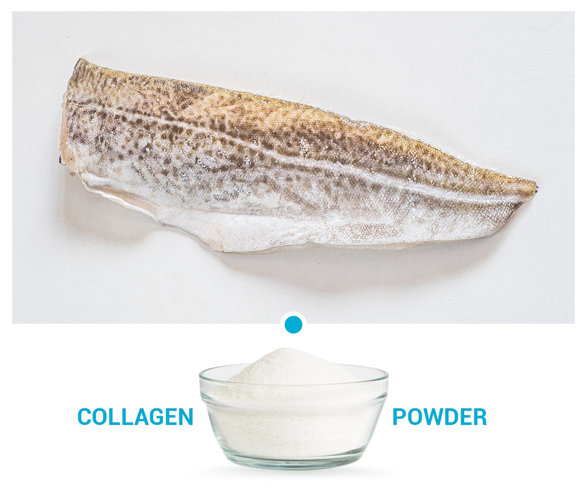 鱈魚膠原蛋白肽