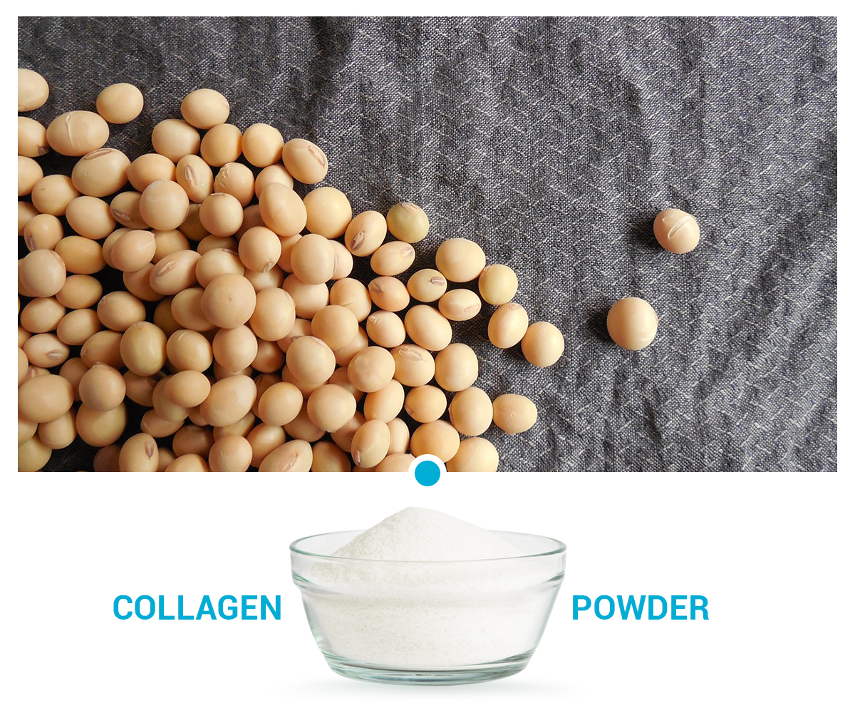 Soybean Peptides