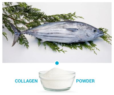 鰹魚彈性蛋白肽