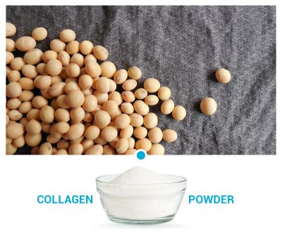 Soybean Peptides